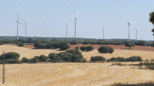 Windmill power technology, Green technology, a clean and renewable energy solution, Beautiful windmill turbines harnessing clean, green, wind energy in Spanish fields