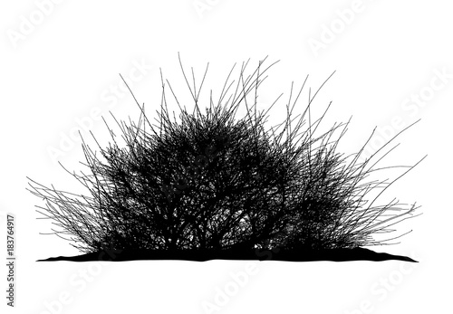 Realistic silhouette of bush (Vector illustration).ai10 photo