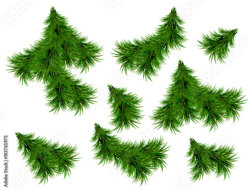 Realistic Set of Green Fir Branches. Christmas tree branches Isolated on white Background for Greeting Card  Flyers  Banners