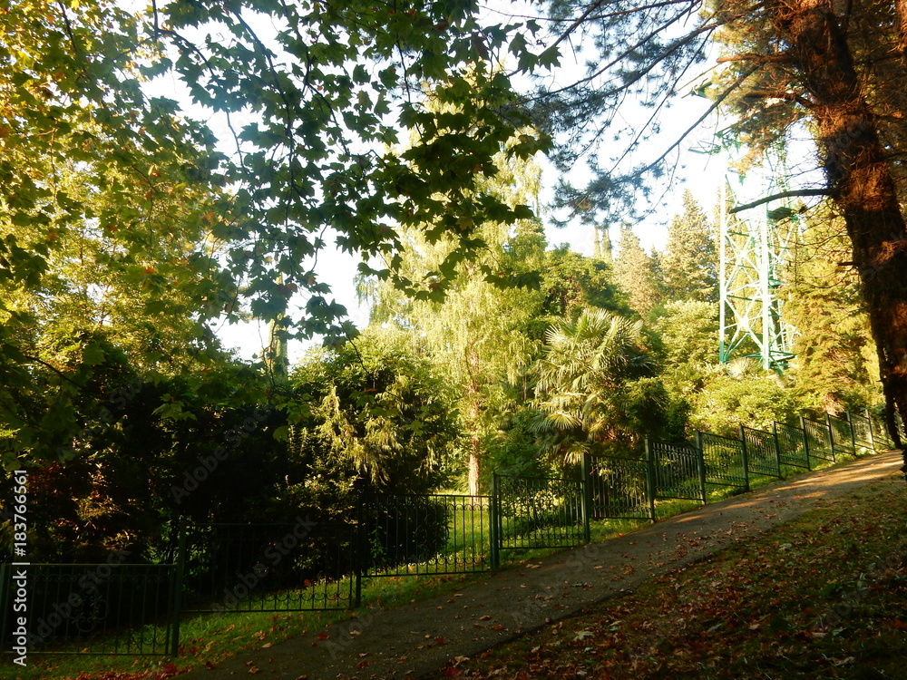 Obraz premium ecology