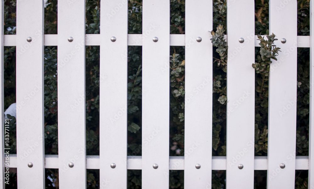 Fence Fence