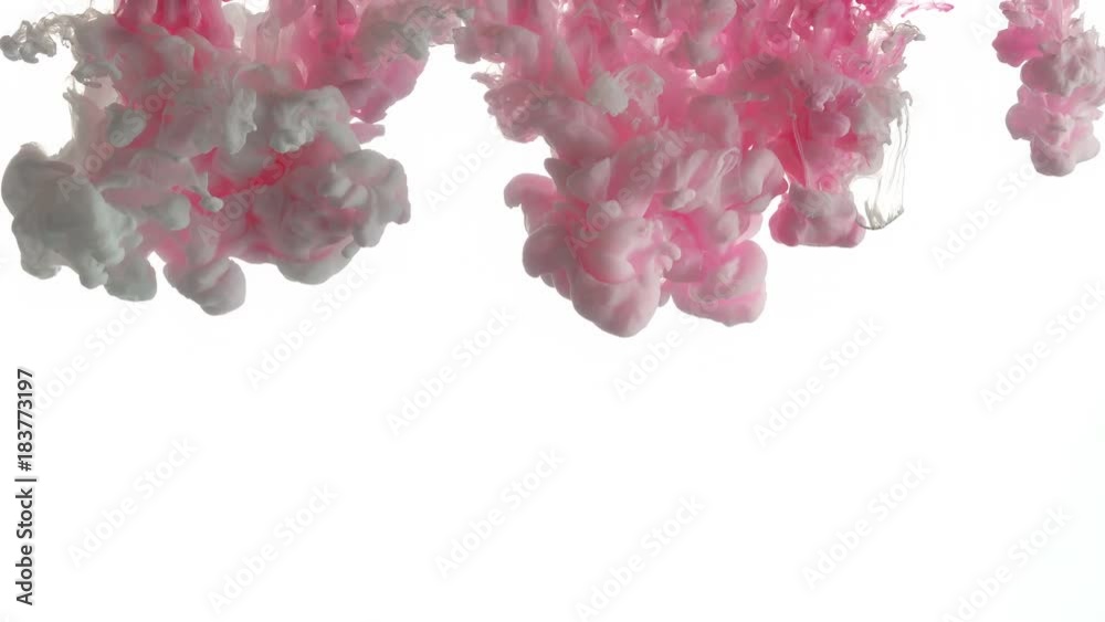 Pink ink dropped in water on white background
Pink ink dropped in water on white background