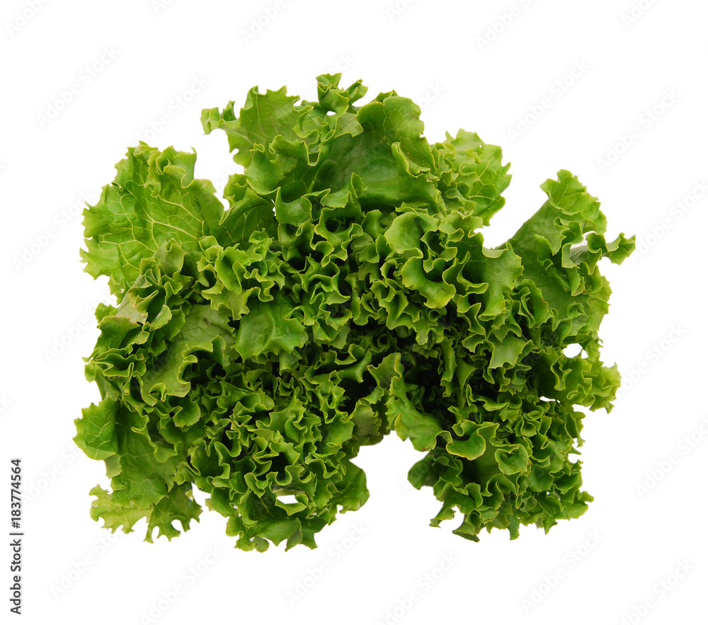 Bunch of fresh green salad isolated over white Bunch of fresh green salad isolated over white