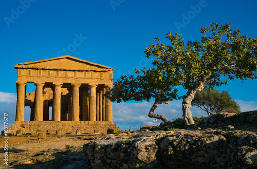 Tempio delle Concordia, Valle di Templi, Valley of Temples, Agrigento, Sicily