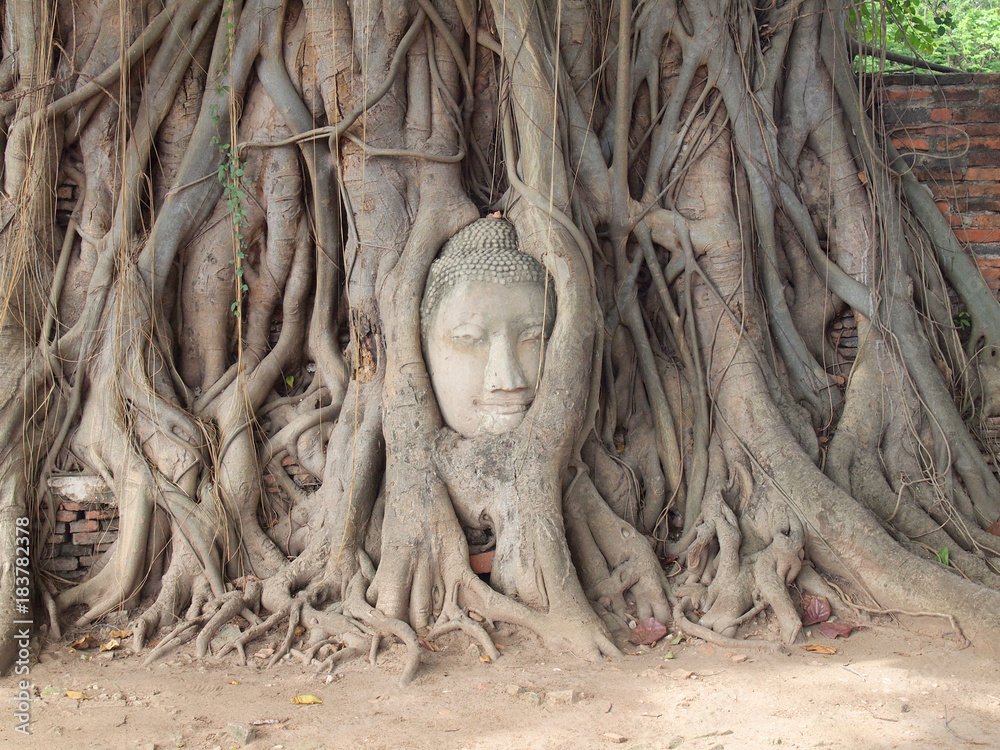 The Ayutthaya Historical Park covers the ruins of the old city The Ayutthaya Historical Park covers the ruins of the old city