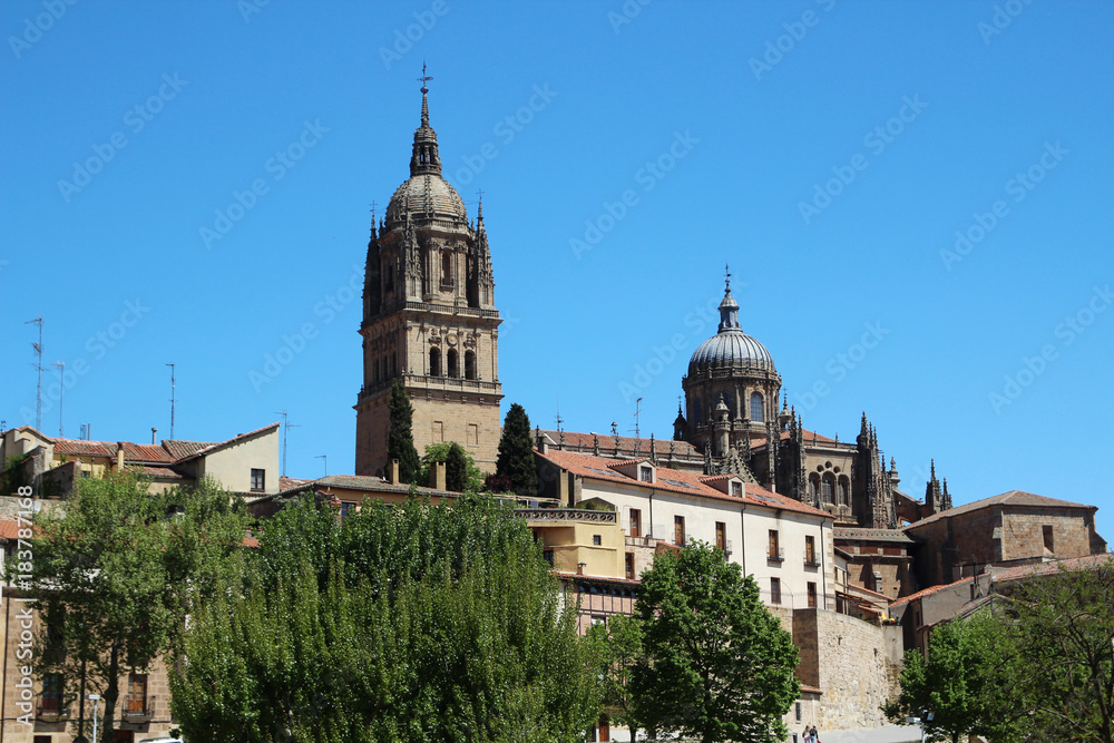 New Cathedral of Salamanca, Spain 