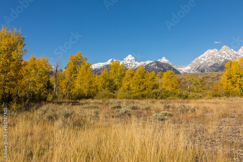 Teton Autumn Landscape