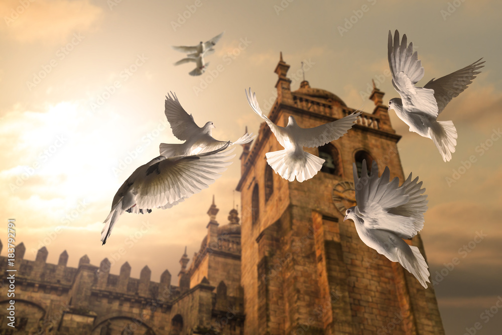 Obraz white pigeons fly against the background of an ancient castle