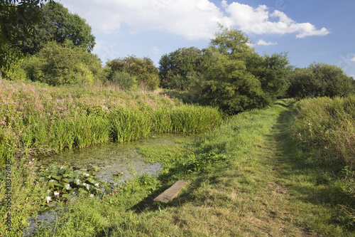 Halesworth Millennium Green, Suffolk, England photo