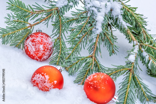 Fotografie Christmas red balls and a fur-tree branch in the snow