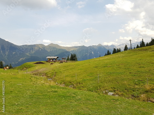 Tue meadows