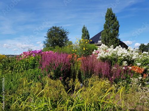 Flower garden
