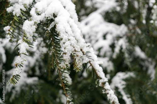 Ice ans snow close up during winter. Slovakia