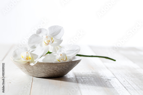 beauty still life with white orchids for concept of hygiene