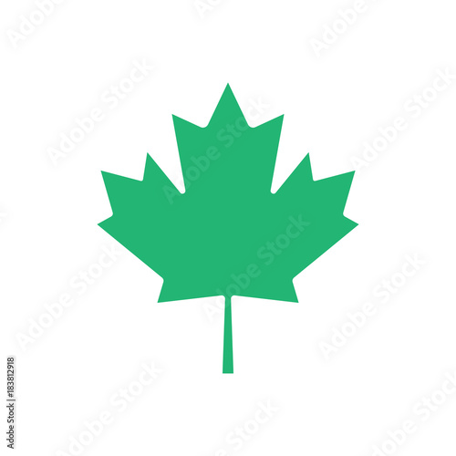 Green maple leaf vector icon. Maple leaf clip art.