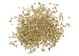 Fennel seeds on white background, top view