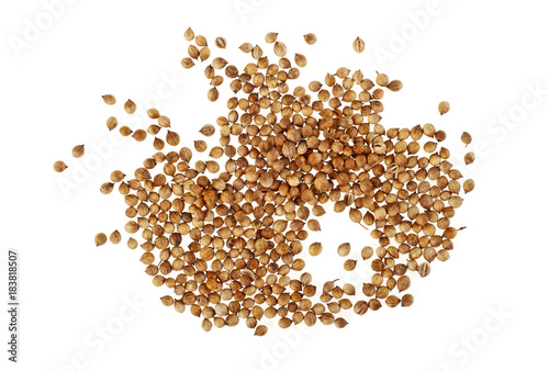 Coriander seeds isolated on white background, top view