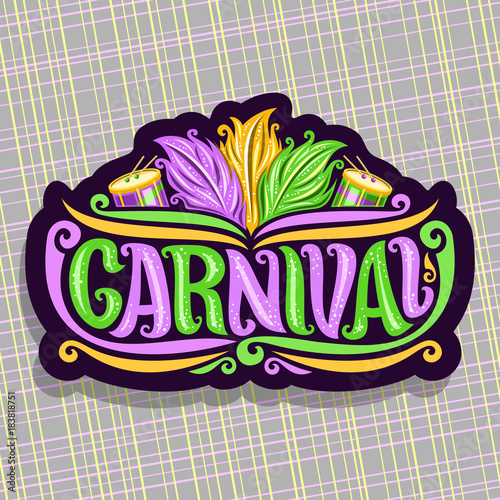 Vector logo for Carnival, poster with brazilian feather headdress, drums with sticks for samba parade, original font for word title carnival, sign for mardi gras carnival show on abstract background.