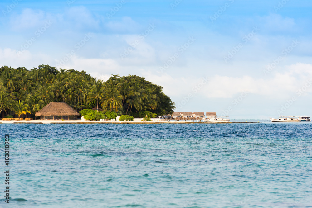 View of a tropical island with coconut palms on a sandy beach, Maldives, Indian ocean. Copy space for text.