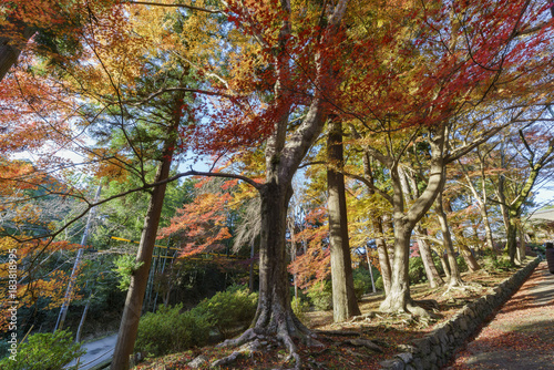 Beautiful fall color and Bishamondo