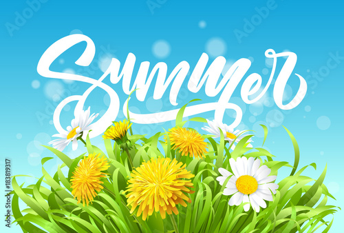 Fototapeta Naklejka Na Ścianę i Meble -  Summer poster with flowers and grass . Vector illustration