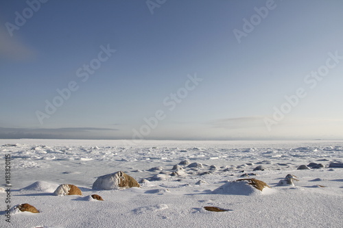Rocks in the snow under a blue sky in the arctic, north of Arviat © Sophia