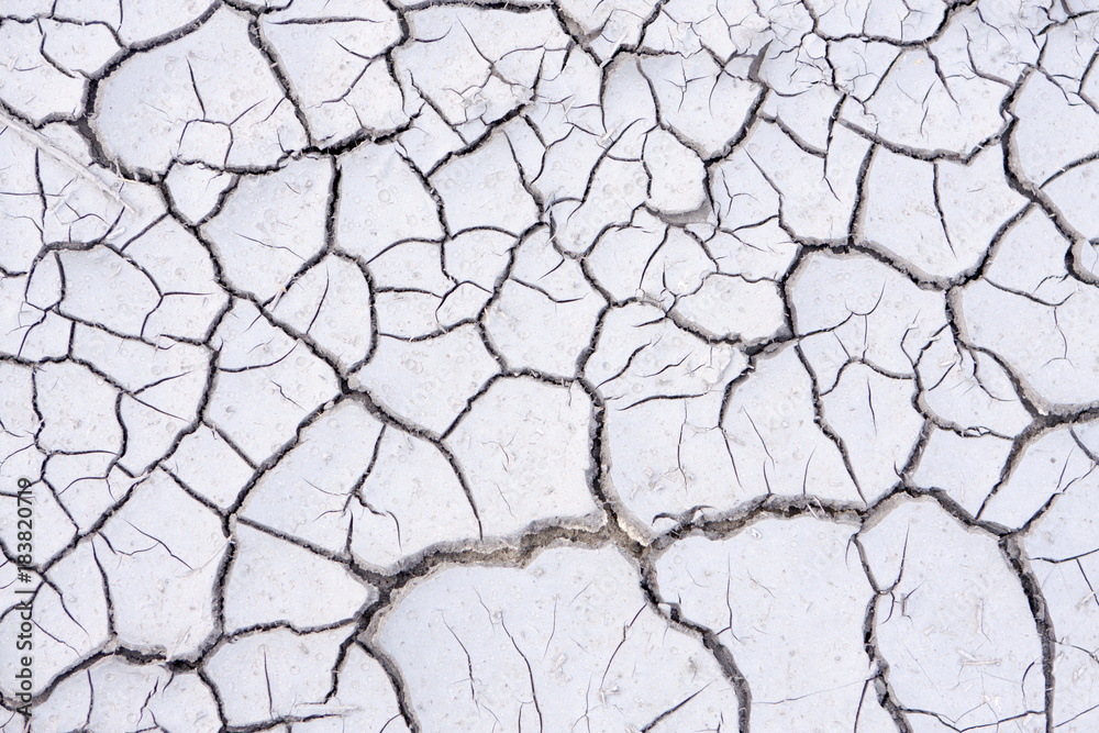 the cracked clay the cracked clay