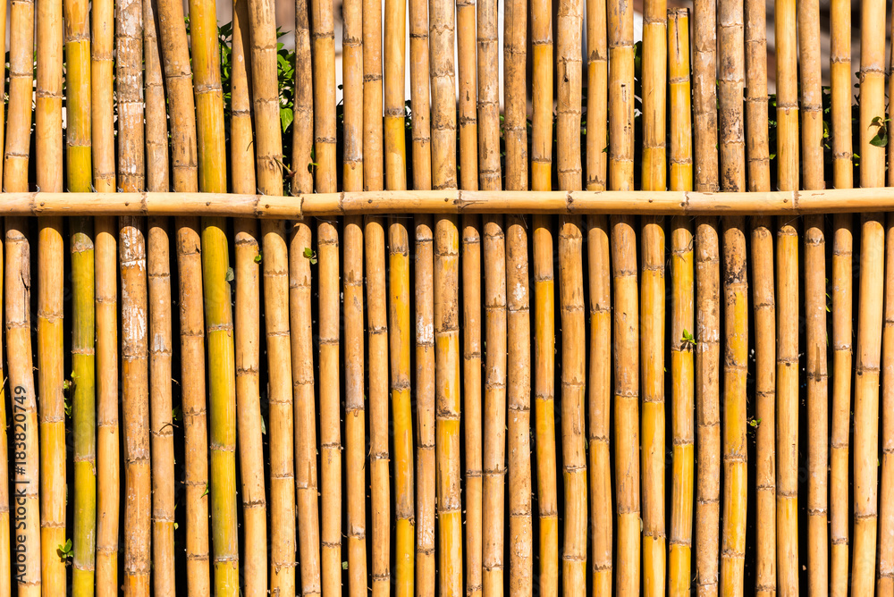 Bamboo background, Louangphabang, Laos. Close-up. Bamboo background, Louangphabang, Laos. Close-up.