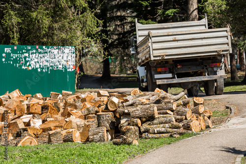 Heap of wooden logs in a city park in Goryachy Klyuch, Russia. Copy space for text. photo