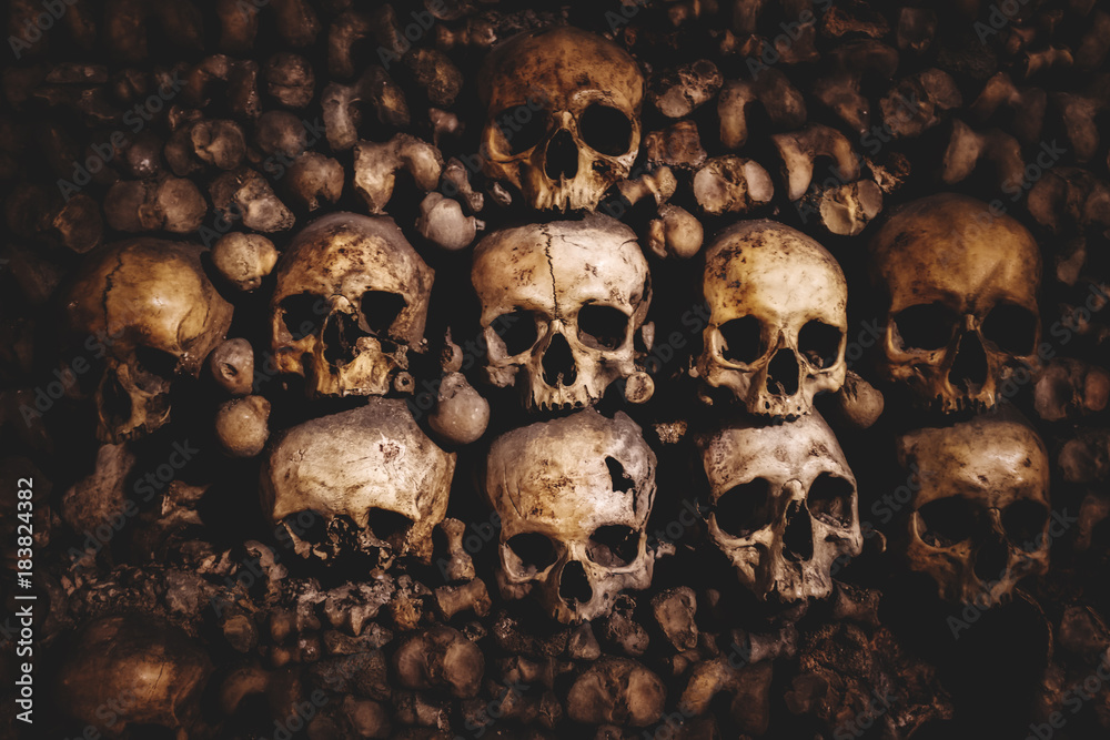 Naklejka premium czaszki i kości w paryskich katakumbach