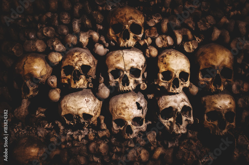 skulls and bones in Paris Catacombs photo