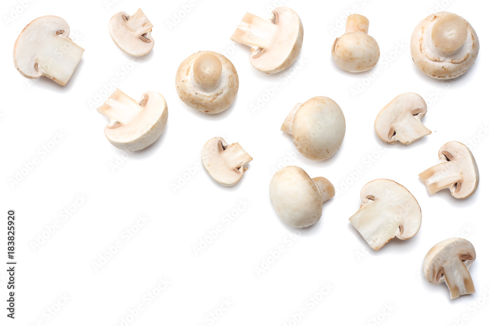 mushrooms isolated on white background. top view mushrooms isolated on white background. top view