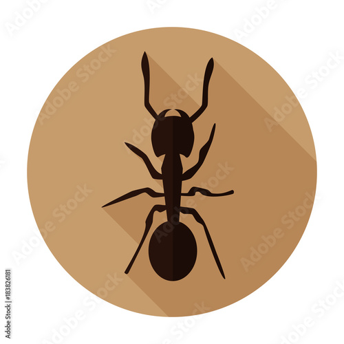 Ant icon flat