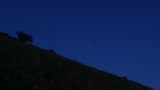 Silhouette alberi di notte in montagna con le stelle