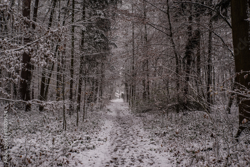 Eingeschneiter Waldweg