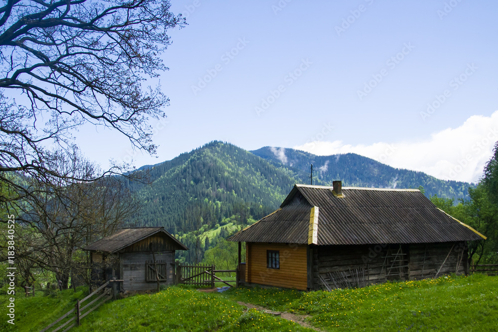 cottage in ukrainian mountain village
