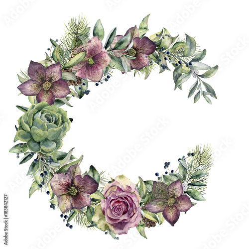 Watercolor floral wreath with hellebore flowers. Hand painted snowberry, fir branch and leaves, berry, succulent, rose isolated on white background. Winter floral bouquet for design. Holiday print