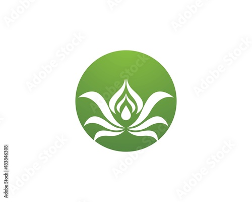 Lotus flowers design logo Template