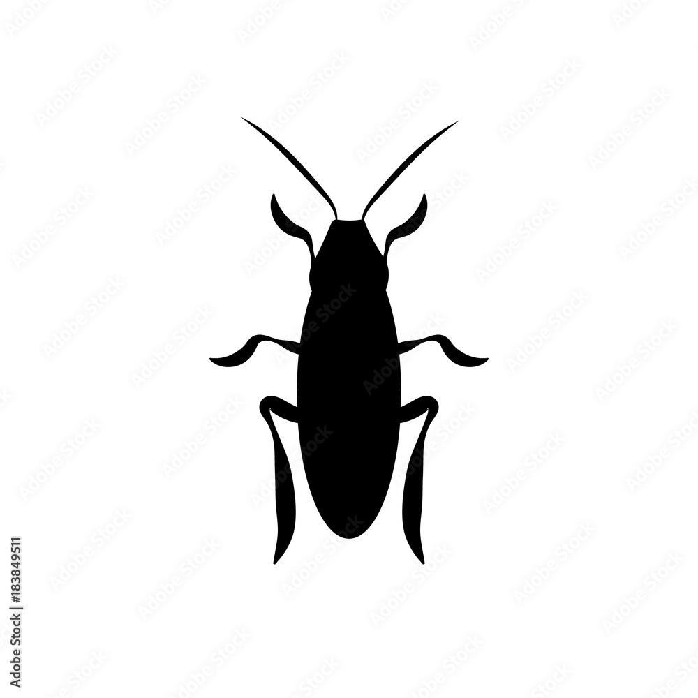 cockroach a beetle contour. vector cockroach a beetle contour. vector