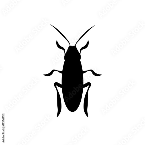 cockroach a beetle contour. vector