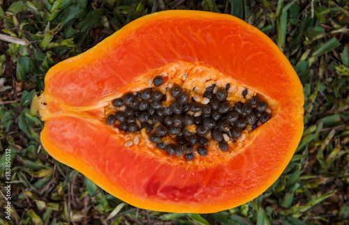 Raw Papaya Closeup