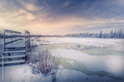 Wallpaper Mural Idyllic winter scene with a bridge inviting you to join in Torontodigital.ca