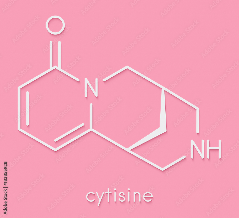 Cytisine (baptitoxine, sophorine) smoking cessation drug moleculeSkeletal  formula.:: tasmeemME.com