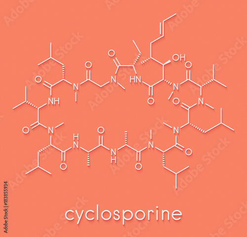Ciclosporin (cyclosporine) immunosuppressant drug molecule. Used to prevent rejection of transplanted organs and for a number of other uses. Skeletal formula. photo