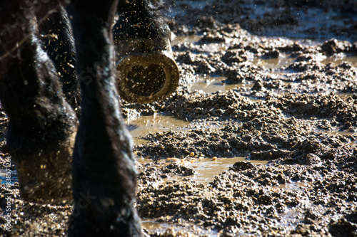 Close Up Of Horse Hooves During Gallop