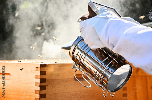 Konstfotografi Portrait of beekeeper using a smoker to calm down the bees