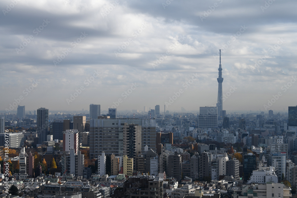 日本の東京都市景観・逆光と雲のある風景「台東区や墨田区方面などを望む」