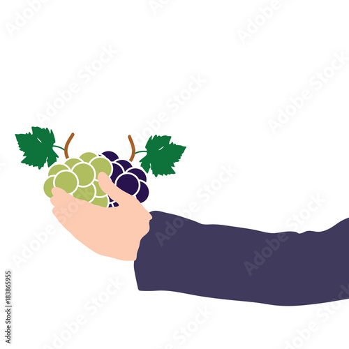 grape in hand illustration