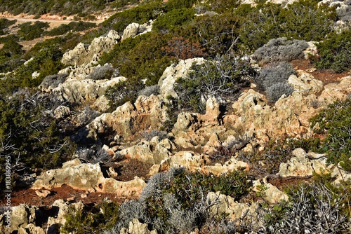 Zypern - Felsformation auf der Akamas Halbinsel photo