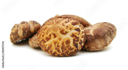 Dried mushrooms isolated on a white background